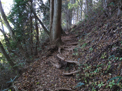 20171102hike (210)